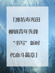 潍坊寿光田柳镇青年先锋“书写”新时代奋斗篇章