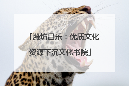 潍坊昌乐：优质文化资源下沉文化书院