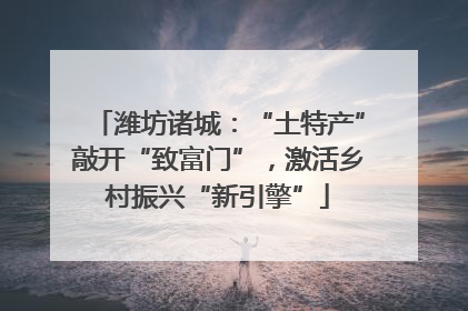 潍坊诸城：“土特产”敲开“致富门”，激活乡村振兴“新引擎”
