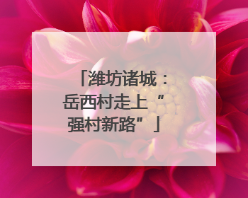潍坊诸城：岳西村走上“强村新路”