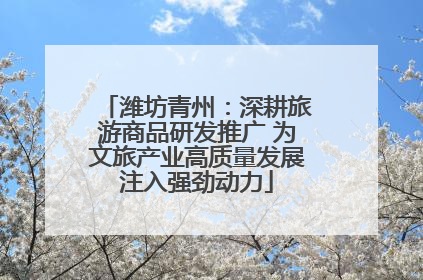 潍坊青州：深耕旅游商品研发推广 为文旅产业高质量发展注入强劲动力