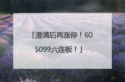 澄清后再涨停！605099六连板！