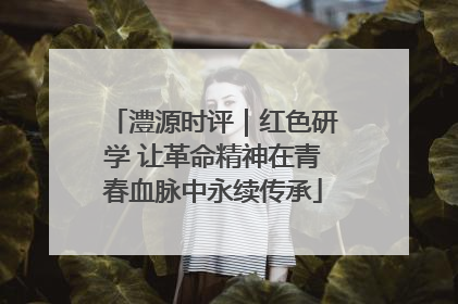 澧源时评｜红色研学 让革命精神在青春血脉中永续传承