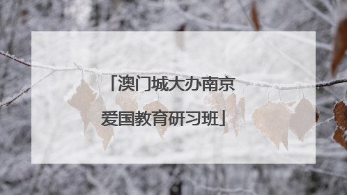 澳门城大办南京爱国教育研习班