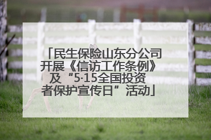 民生保险山东分公司开展《信访工作条例》及“5·15全国投资者保护宣传日”活动