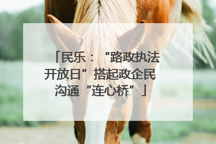 民乐：“路政执法开放日”搭起政企民沟通“连心桥”