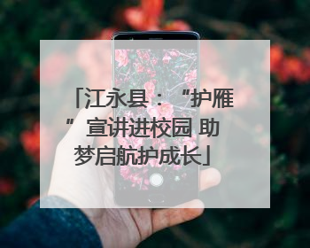 江永县：“护雁”宣讲进校园 助梦启航护成长