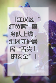江汉区“红黄蓝”服务队上线，组团守护居民“舌尖上的安全”
