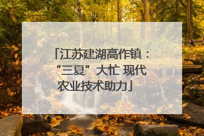 江苏建湖高作镇：“三夏”大忙 现代农业技术助力
