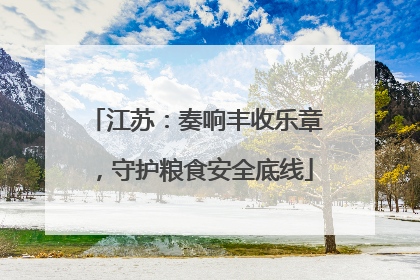 江苏：奏响丰收乐章，守护粮食安全底线
