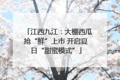 江西九江：大棚西瓜抢“鲜”上市 开启夏日“甜蜜模式”