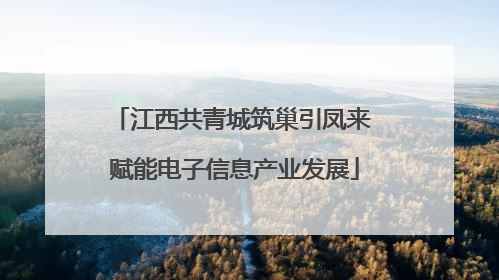 江西共青城筑巢引凤来 赋能电子信息产业发展