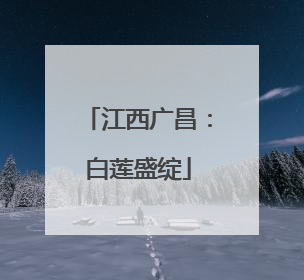 江西广昌：白莲盛绽