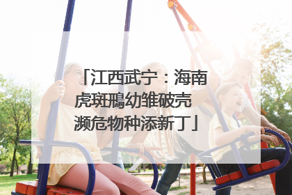 江西武宁：海南虎斑鳽幼雏破壳 濒危物种添新丁