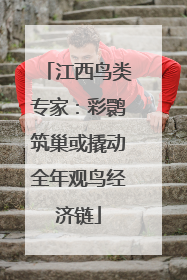江西鸟类专家：彩鹮筑巢或撬动全年观鸟经济链