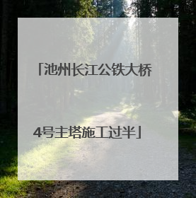 池州长江公铁大桥4号主塔施工过半