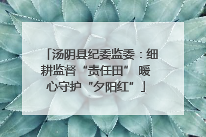 汤阴县纪委监委：细耕监督“责任田” 暖心守护“夕阳红”