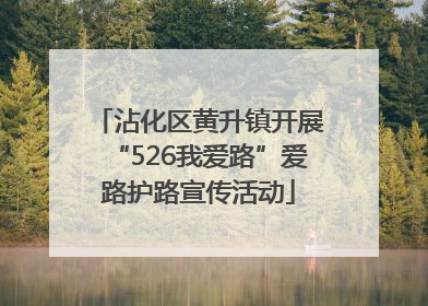 沾化区黄升镇开展“526我爱路”爱路护路宣传活动