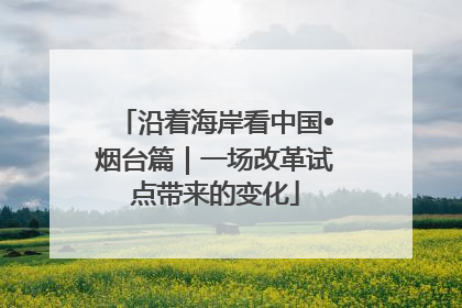 沿着海岸看中国•烟台篇｜一场改革试点带来的变化
