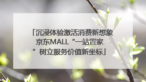 沉浸体验激活消费新想象 京东MALL“一站置家”树立服务价值新坐标