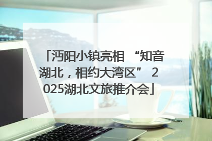 沔阳小镇亮相 “知音湖北，相约大湾区” 2025湖北文旅推介会