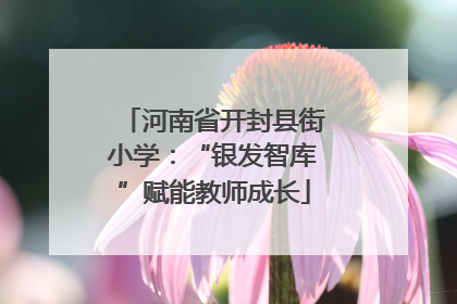 河南省开封县街小学：“银发智库”赋能教师成长