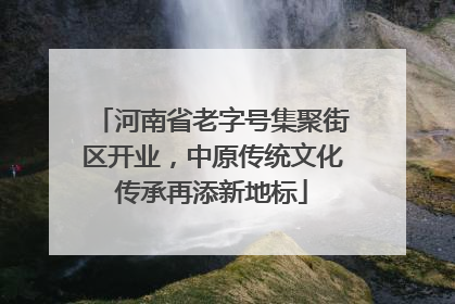 河南省老字号集聚街区开业，中原传统文化传承再添新地标