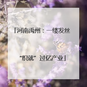 河南禹州：一缕发丝“织就”过亿产业