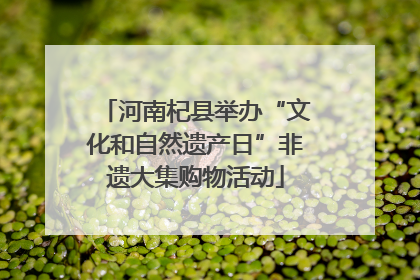 河南杞县举办“文化和自然遗产日”非遗大集购物活动