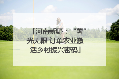 河南新野：“薯”光无限 订单农业激活乡村振兴密码