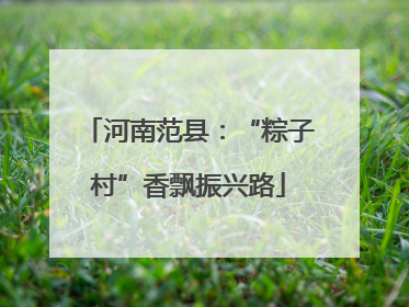 河南范县：“粽子村”香飘振兴路
