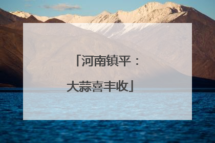 河南镇平：大蒜喜丰收
