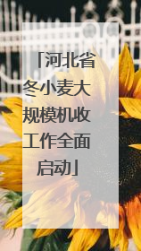 河北省冬小麦大规模机收工作全面启动