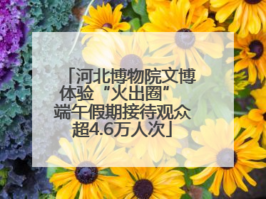 河北博物院文博体验“火出圈” 端午假期接待观众超4.6万人次