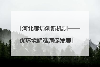 河北廊坊创新机制——优环境解难题促发展