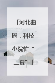 河北曲周：科技小院忙“三夏”