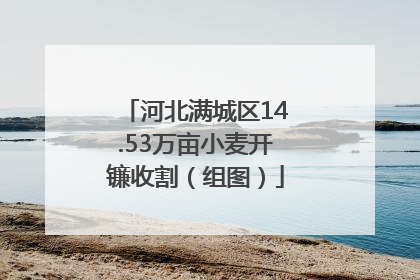 河北满城区14.53万亩小麦开镰收割（组图）