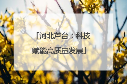 河北芦台：科技赋能高质量发展