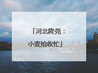 河北隆尧：小麦抢收忙
