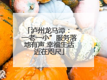 泸州龙马潭：“一老一小”服务落地有声 幸福生活近在咫尺