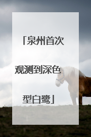泉州首次观测到深色型白鹭