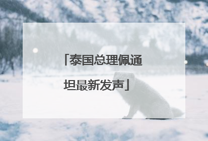 泰国总理佩通坦最新发声
