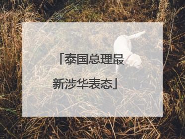泰国总理最新涉华表态