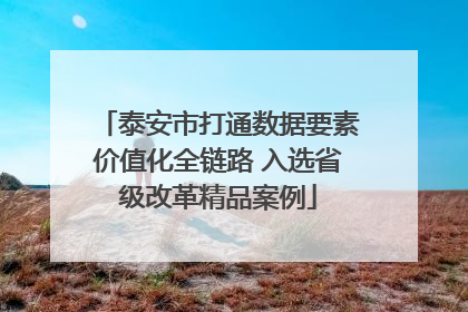 泰安市打通数据要素价值化全链路 入选省级改革精品案例