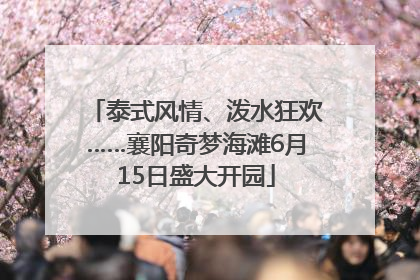 泰式风情、泼水狂欢……襄阳奇梦海滩6月15日盛大开园