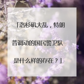 洛杉矶大乱，特朗普调动的国民警卫队是什么样的存在？