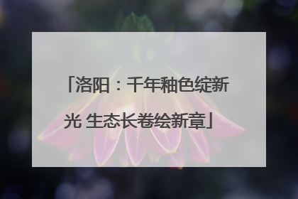 洛阳：千年釉色绽新光 生态长卷绘新章