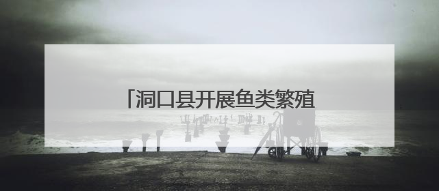 洞口县开展鱼类繁殖期护渔专项执法行动