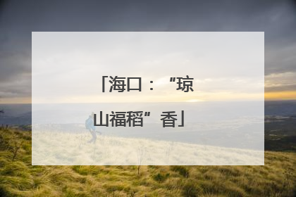 海口：“琼山福稻”香