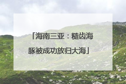 海南三亚：糙齿海豚被成功放归大海